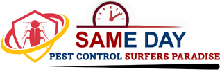Same Daye Pest Control Surfers Paradise